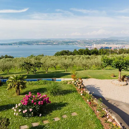 Med Oljkami Apartman Koper