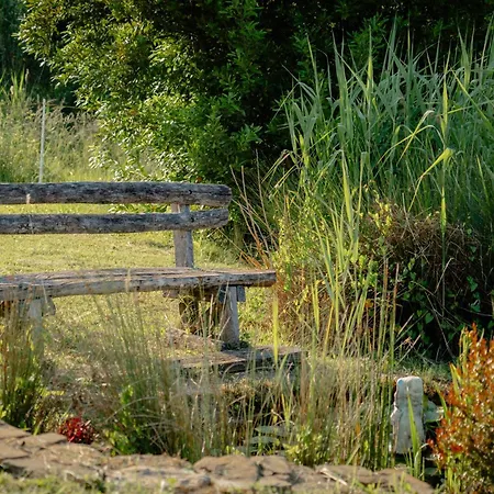 Lejlighed Med Oljkami Koper