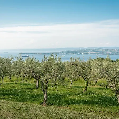 Apartman Med Oljkami