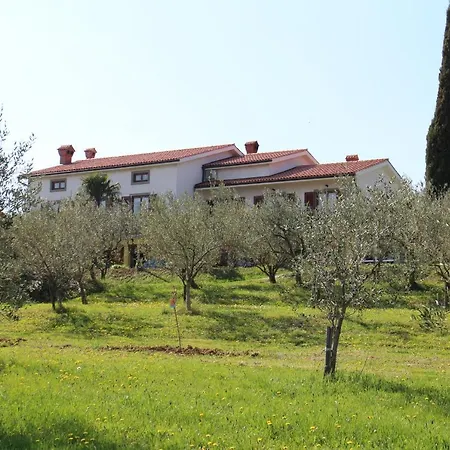 Lejlighed Med Oljkami *