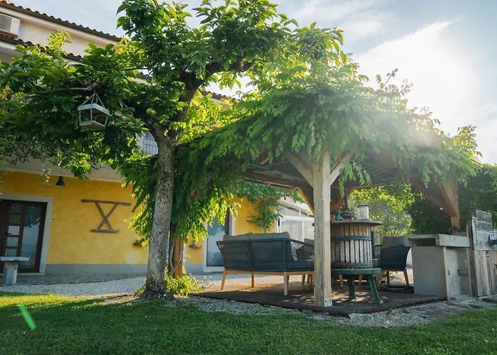 Med Oljkami * Κόπερ