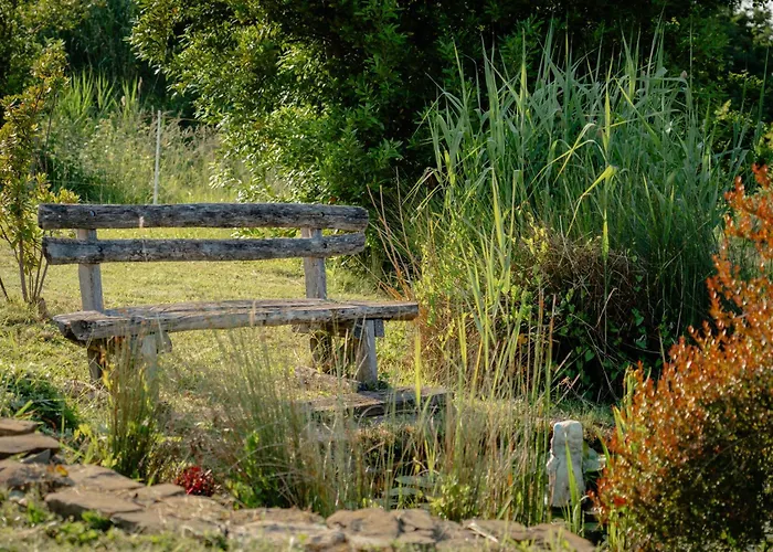 Διαμέρισμα Med Oljkami Κόπερ
