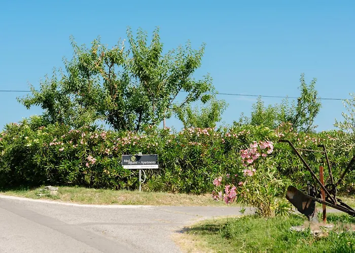 Med Oljkami Διαμέρισμα *